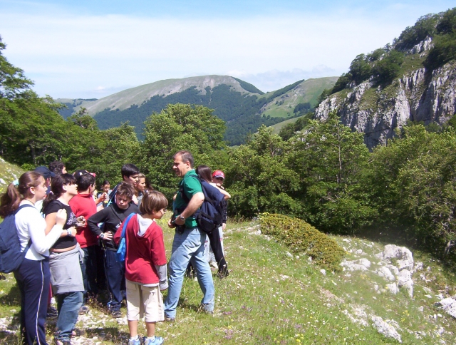 Orienteering 